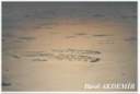 0002_B.A.E_Dubai0003.JPG