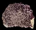 amethyst0001.jpg
