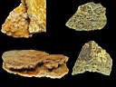 aragonite0002.jpg