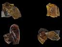 colemanite-glass0001.jpg
