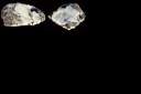 colemanite-snow0001.jpg