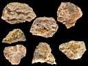 colemanite0009.jpg