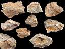 colemanite0010.jpg