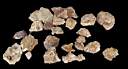 colemanite0014.JPG