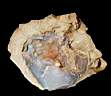 opal-botrodiyal0001.JPG