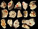 opal-fire0001.jpg