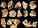opal-fire0003.jpg