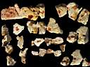 opal-fire0005.jpg