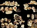 opal-fire0010.jpg