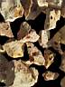 opal-fire0015.JPG