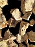 opal-fire0016.JPG