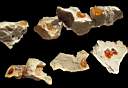 opal-fire0018.JPG
