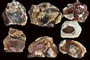 opal0008.jpg