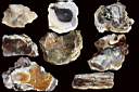 opal0012.jpg
