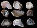 opal0014.jpg