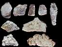 calcite0003.jpg