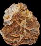 citrine0002.JPG