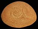 fossils0001.JPG