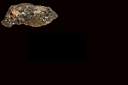 muscovite0001.JPG
