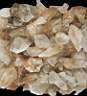 quartz0001.JPG